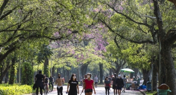 Cai para 33,8 milhões número de pessoas rigorosamente isoladas